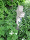 image of grave number 444300